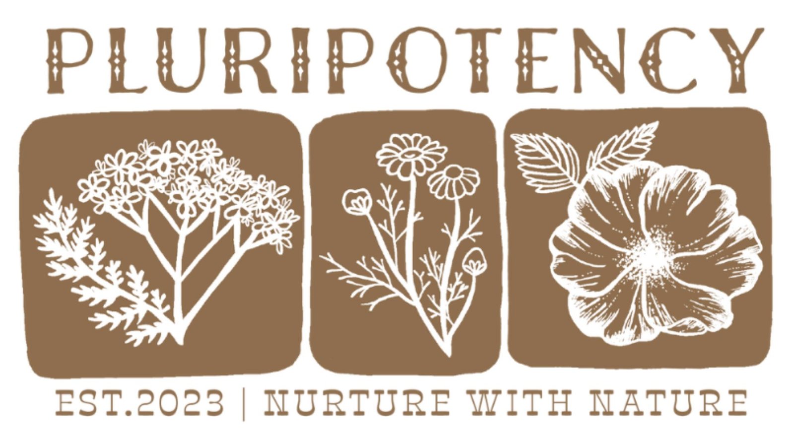 Pluripotency